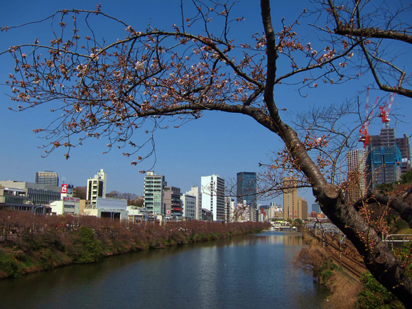 a0219537_1026999.jpg
