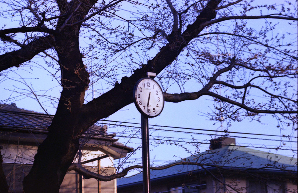 b0158237_8502326.jpg