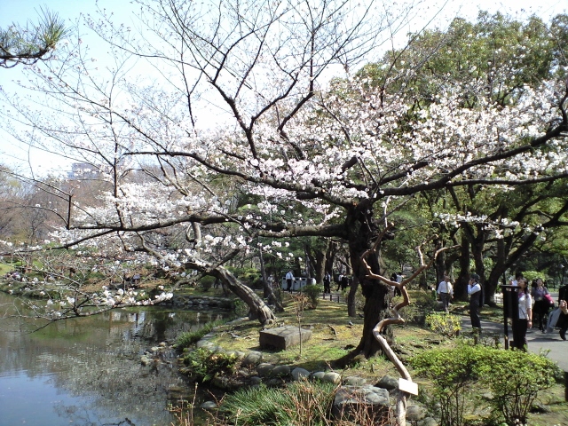 c0013438_19532363.jpg