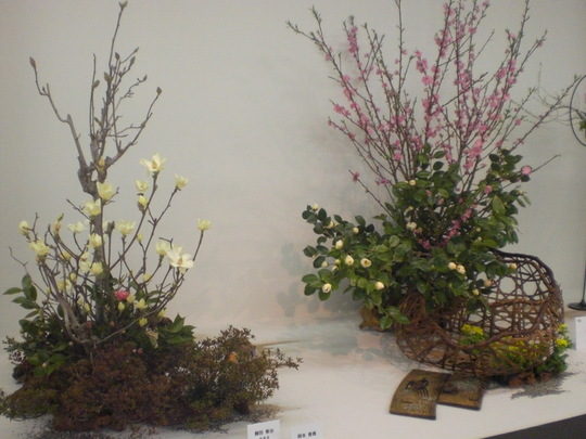 いけばな女性作家展 大丸心斎橋店 大阪市中央区心斎橋 自信 雷 家事 オヤツ いけばな女性作家展 大丸心斎橋店 大阪市中央区心斎橋 自信 雷 家事 オヤツ