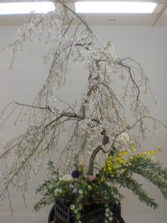 いけばな女性作家展 大丸心斎橋店 大阪市中央区心斎橋 自信 雷 家事 オヤツ いけばな女性作家展 大丸心斎橋店 大阪市中央区心斎橋 自信 雷 家事 オヤツ