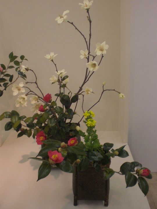 いけばな女性作家展 大丸心斎橋店 大阪市中央区心斎橋 自信 雷 家事 オヤツ いけばな女性作家展 大丸心斎橋店 大阪市中央区心斎橋 自信 雷 家事 オヤツ