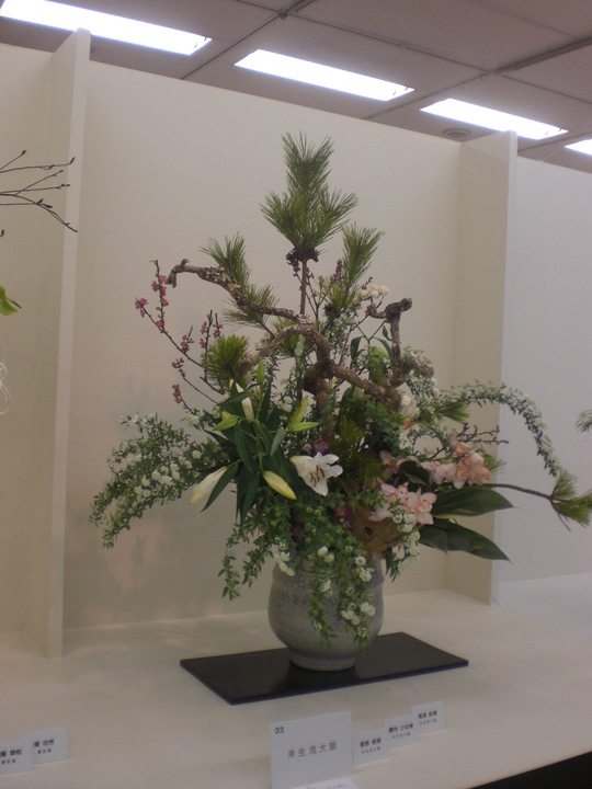 いけばな女性作家展 大丸心斎橋店 大阪市中央区心斎橋 自信 雷 家事 オヤツ いけばな女性作家展 大丸心斎橋店 大阪市中央区心斎橋 自信 雷 家事 オヤツ