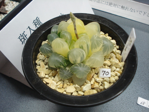 c0261240_18443560.jpg
