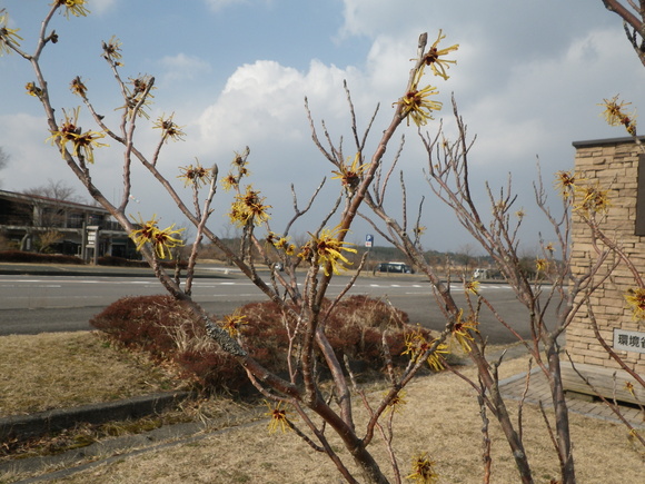 b0282042_17575493.jpg