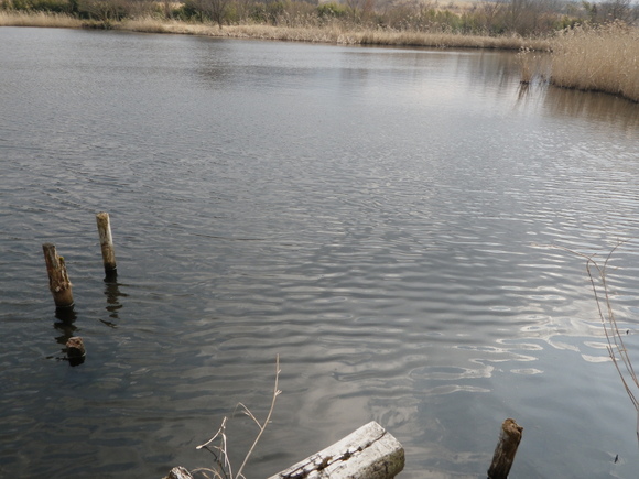 b0282042_18234685.jpg