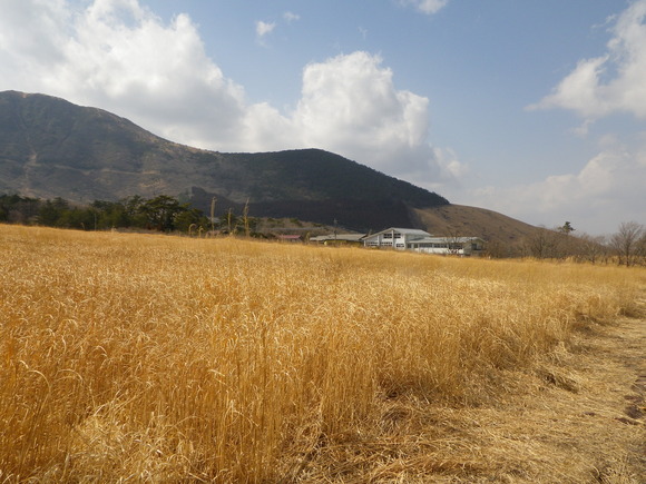 b0282042_186718.jpg