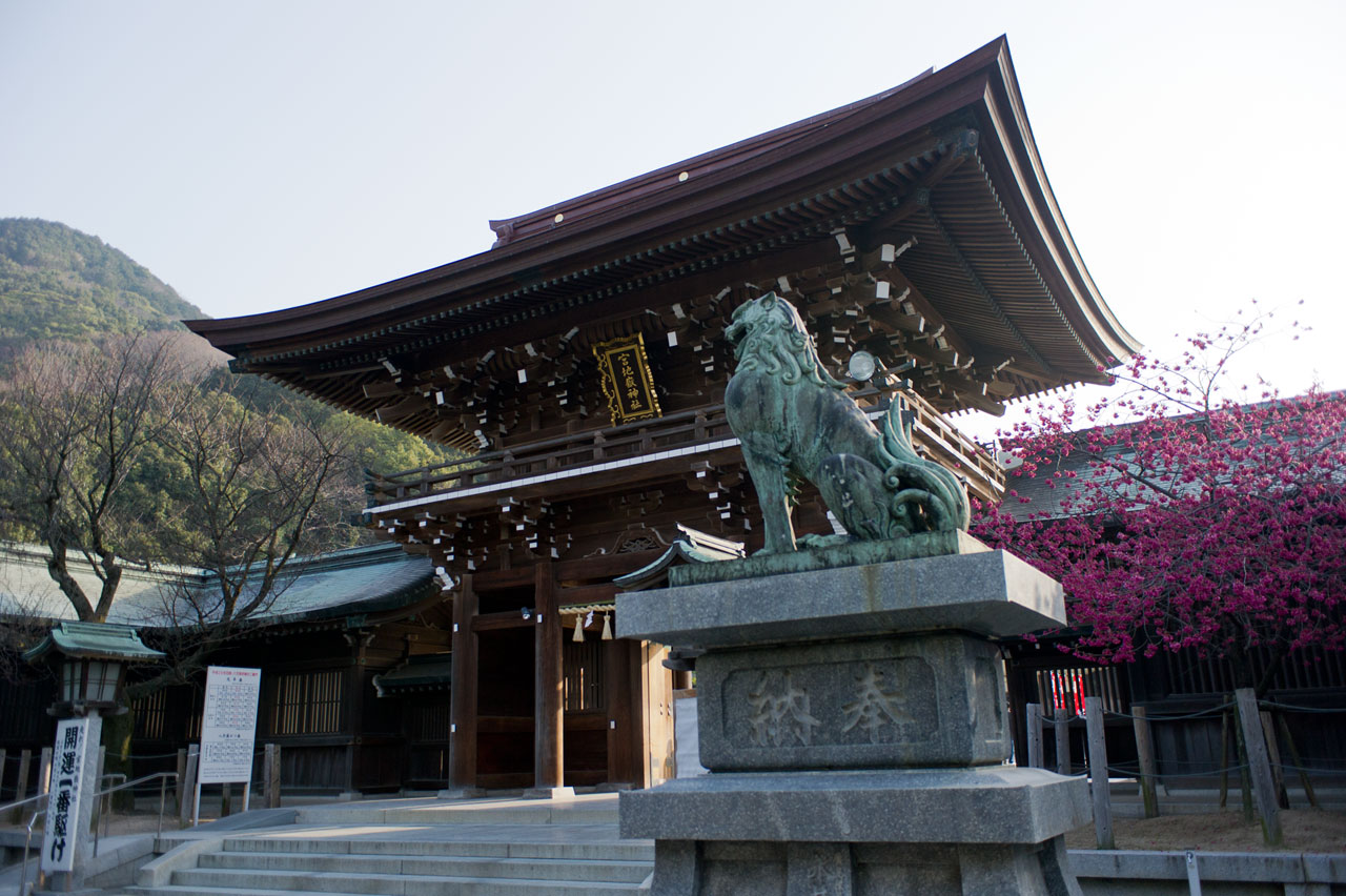 ★寒緋桜　宮地嶽神社　１_b0023047_472788.jpg