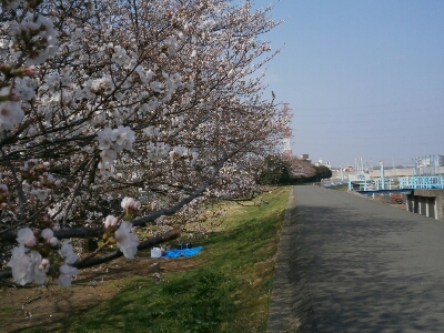 f0230961_95527.jpg