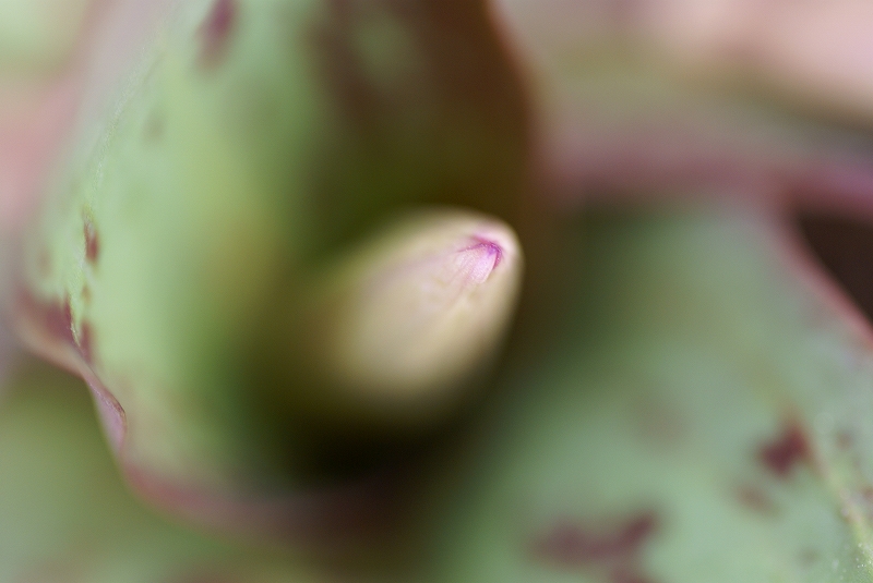 b0198768_14553347.jpg