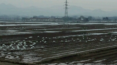 a0124973_17424115.jpg