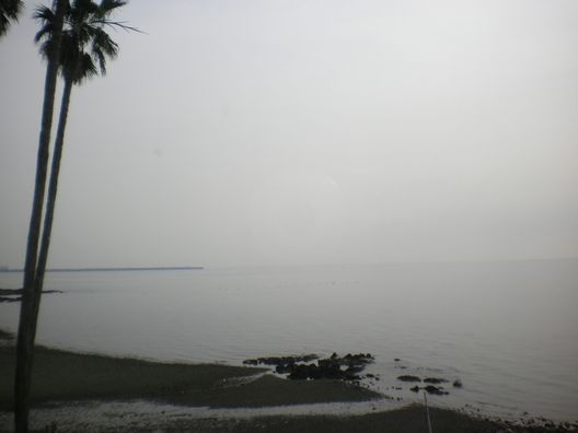 b0005281_1862876.jpg