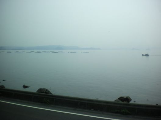 b0005281_1875834.jpg