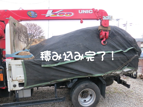 田中園 -CARRIERS-_b0200291_21385712.jpg