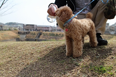 お山の公園_e0227996_19478.jpg