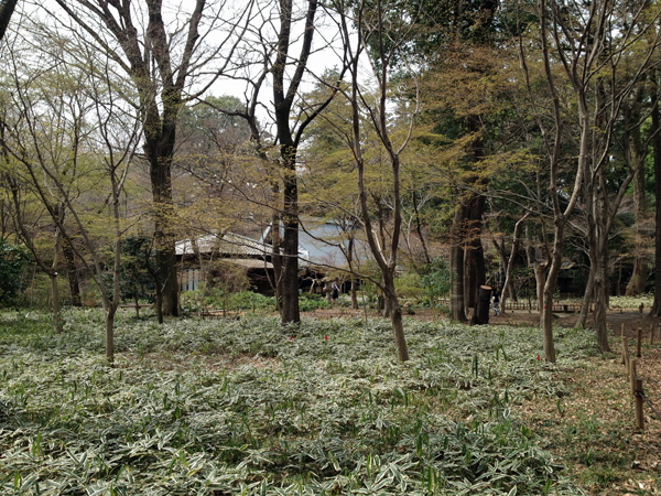 a0000006_034428.jpg