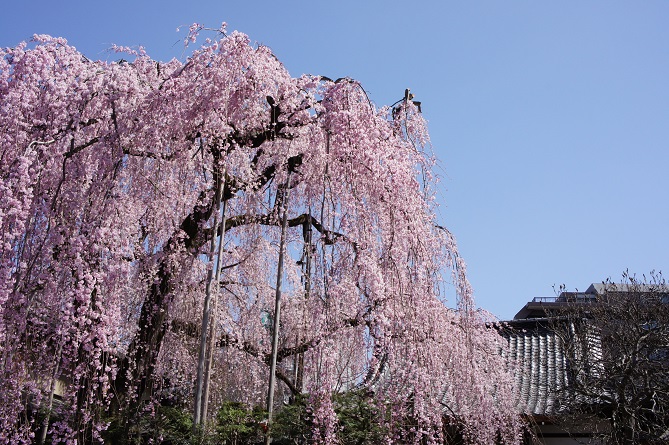 b0112909_18183783.jpg