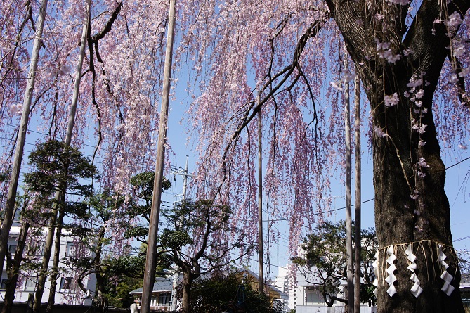 b0112909_1915471.jpg