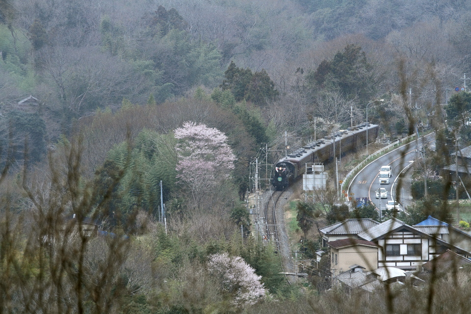 花と日章旗をアップで - 2013年・秩父ファーストラン - _b0190710_21301014.jpg