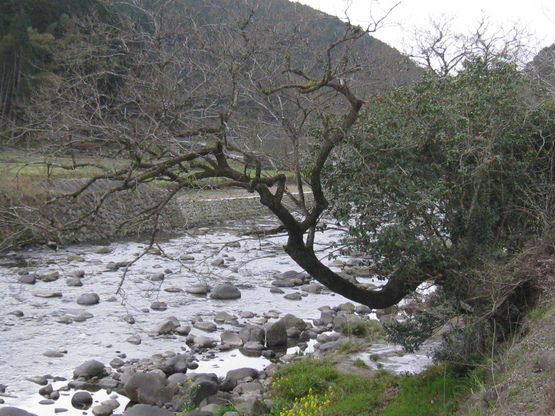 d0053616_16281459.jpg