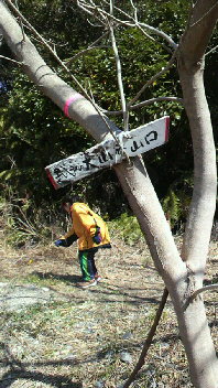 e0246241_1614323.jpg