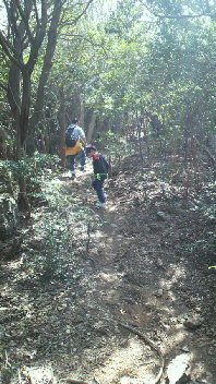 e0246241_16454.jpg
