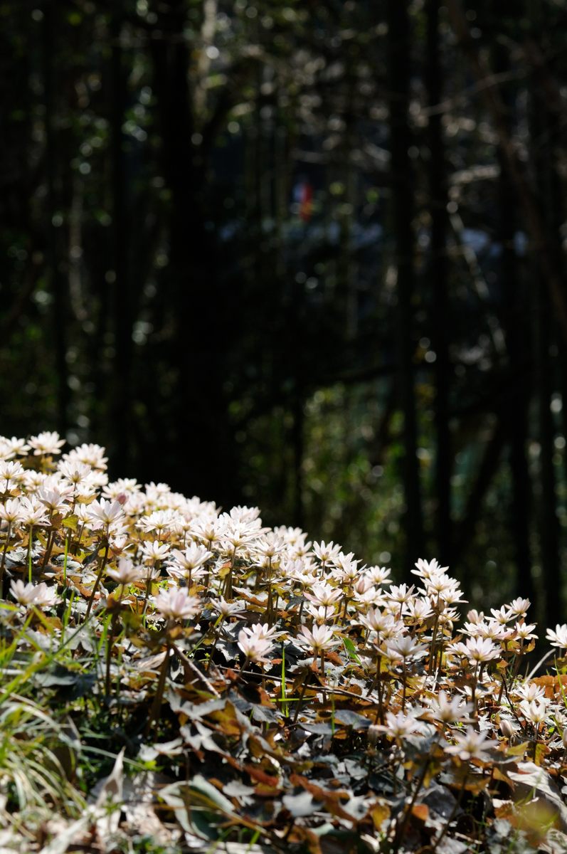 f0224648_12214873.jpg