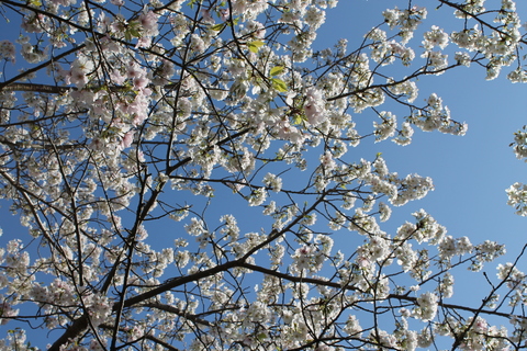 b0005652_943761.jpg