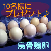 e0309352_23381372.jpg