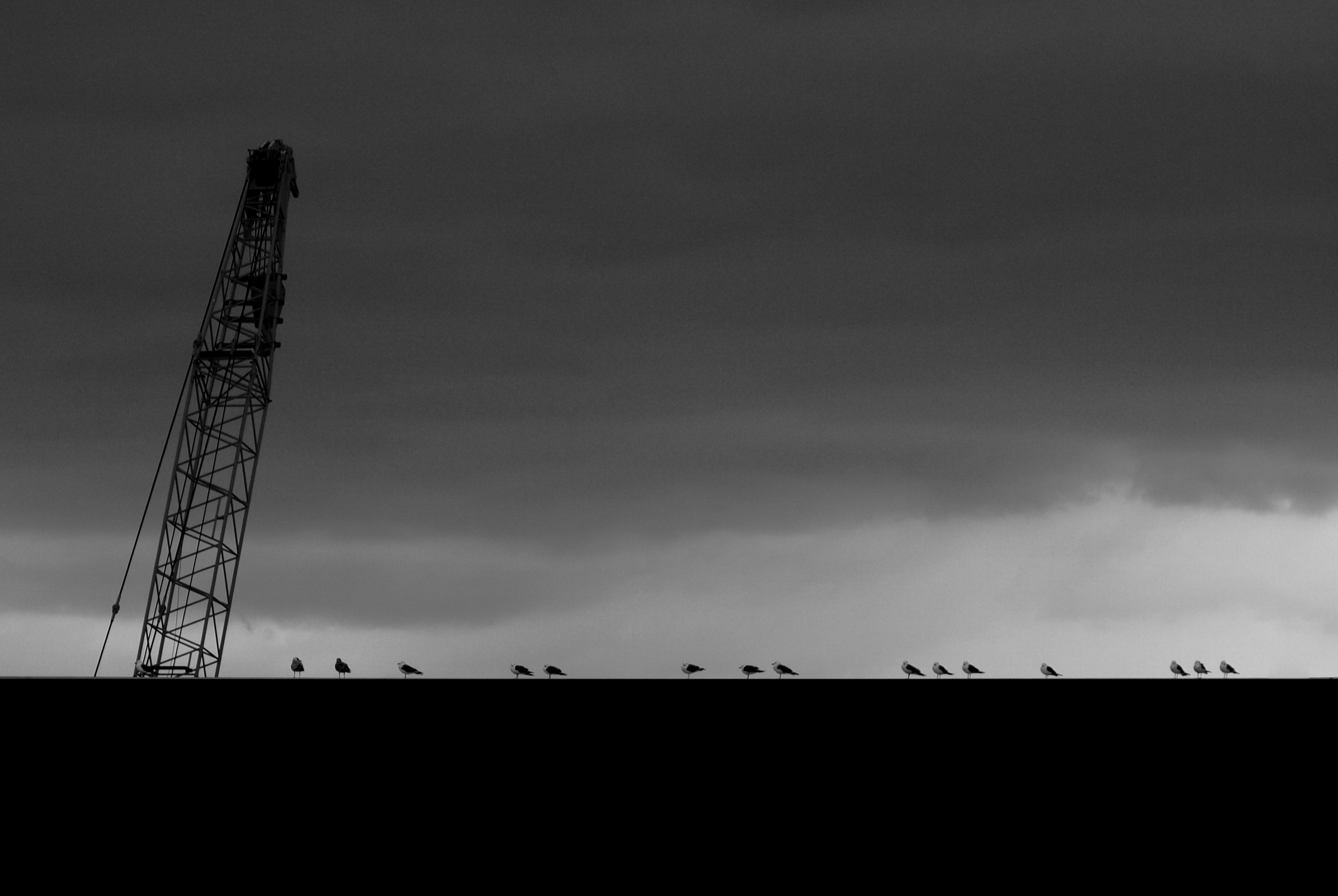 f0178652_0595118.jpg