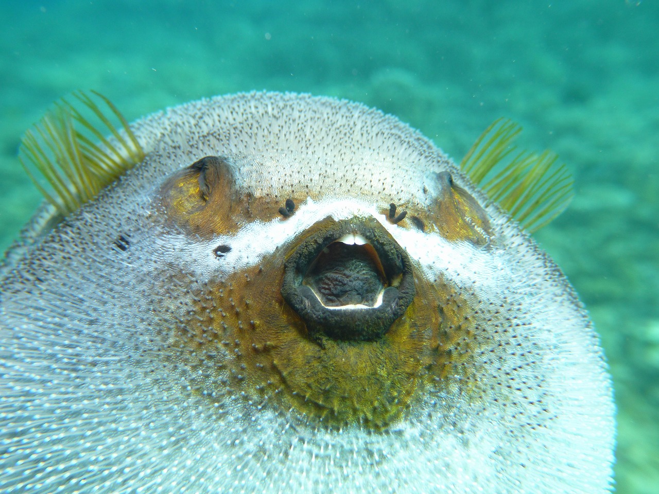 2013 DIVE TOUR Ⅱ_d0253453_22262427.jpg