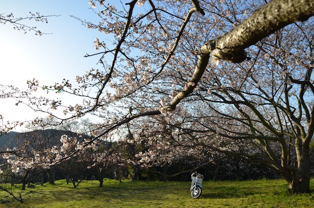 天気が良いので平日朝駆_a0171959_18371020.jpg