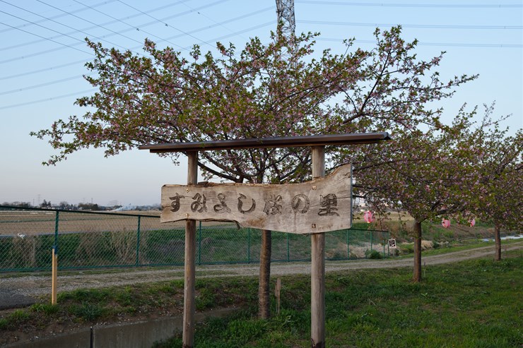 f0222161_2129471.jpg
