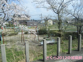 富山地鉄のさくらマップ2013@中加積駅_a0243562_1485412.jpg