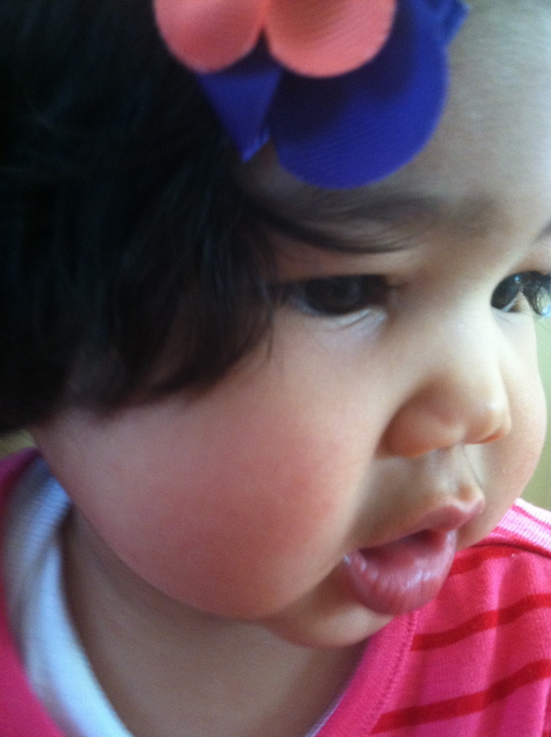 Chubby Cheeks ぷっくりほっぺ コネチカット生活 Chubby Cheeks ぷっくりほっぺ コネチカット生活
