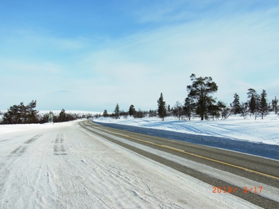e0195766_7262120.jpg