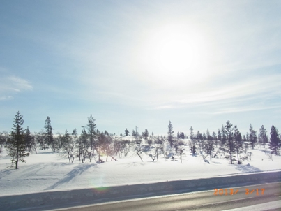 e0195766_726910.jpg