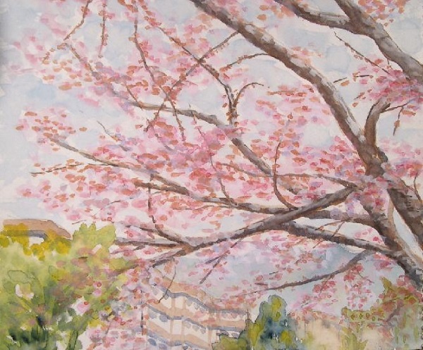 静岡は桜 さくら 桜 暮らしの絵日記