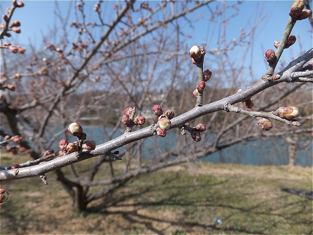 f0186275_15333072.jpg