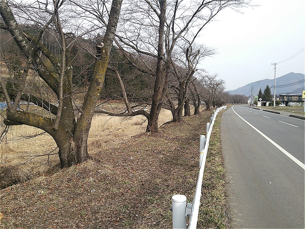 f0186275_1534446.jpg