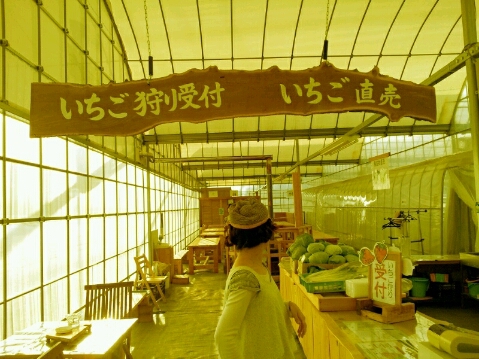 f0228886_9121676.jpg