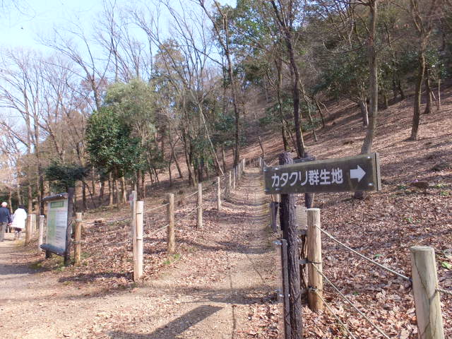 続・カタクリ群生地～鳩吹山～_a0271502_20111555.jpg