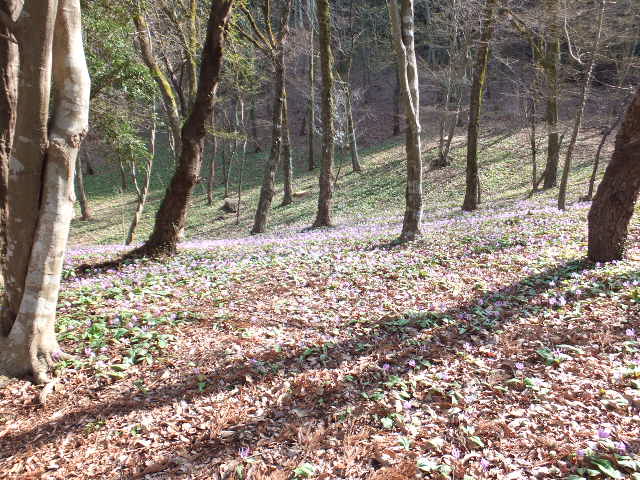 a0271502_20311414.jpg