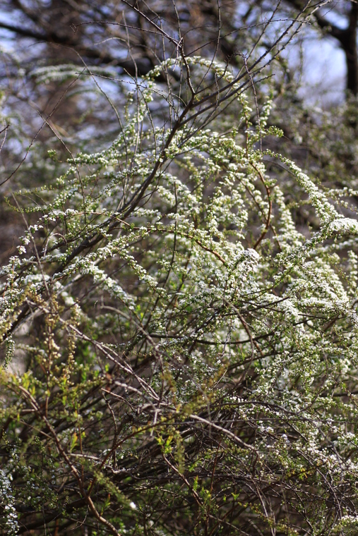 d0248502_00317.jpg