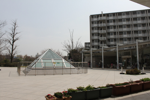 e0123104_729244.jpg