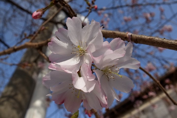 a0268412_23195698.jpg