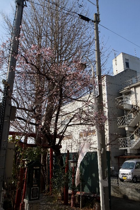 a0268412_23195738.jpg