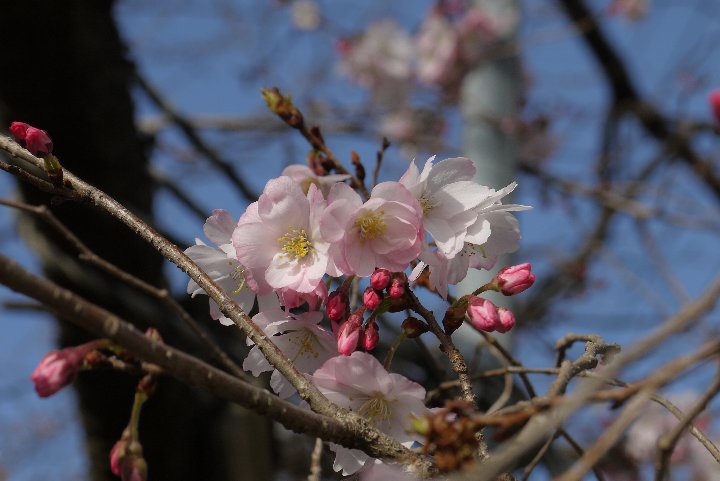 a0268412_23303488.jpg