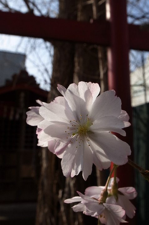 a0268412_23303650.jpg