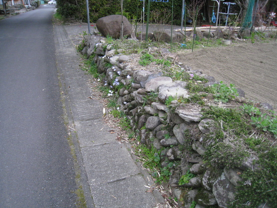 d0053616_12372832.jpg